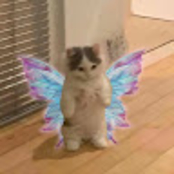 artietashi